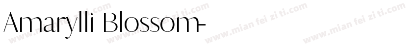 Amarylli Blossom字体转换
